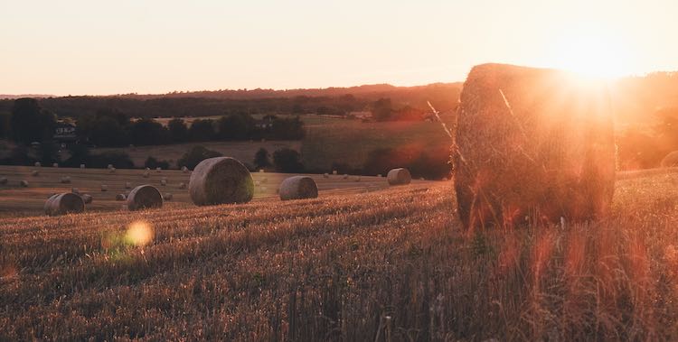 agricultural land